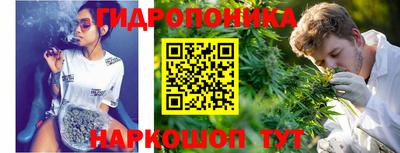 молекула духа Кинель