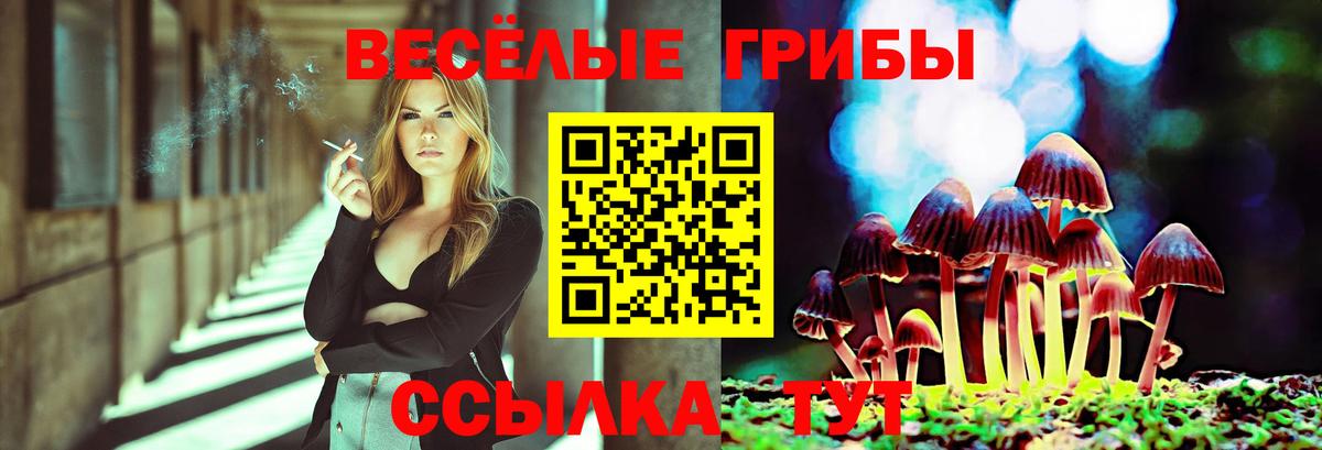 Псилоцибиновые грибы Psilocybe Лабытнанги