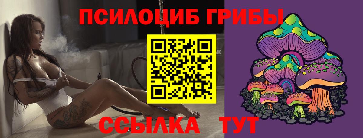 Псилоцибиновые грибы Psilocybe Лабытнанги