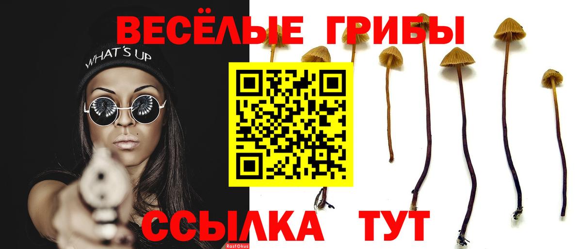 Псилоцибиновые грибы прущие грибы  Вход с VPN  Лабытнанги  Псилоцибиновые грибы GOLDEN TEACHER 